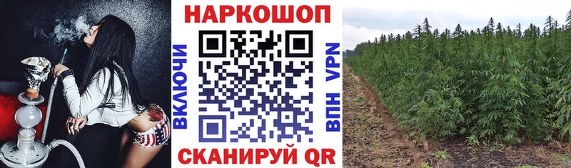 Где можно купить наркотики Покачи Alpha-PVP КОКАИН OMG маркетплейс Амфетамин Конопля Мефедрон