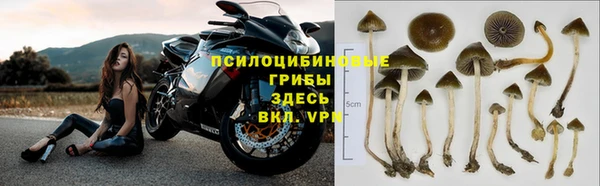 тгк Армянск