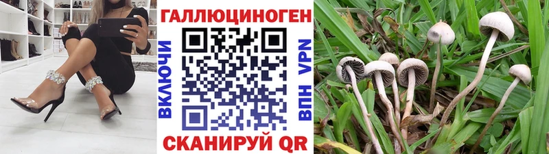 Псилоцибиновые грибы Psilocybine cubensis  наркошоп  Покачи 